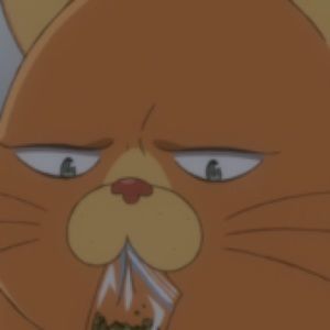 Meet your Posher, Huy